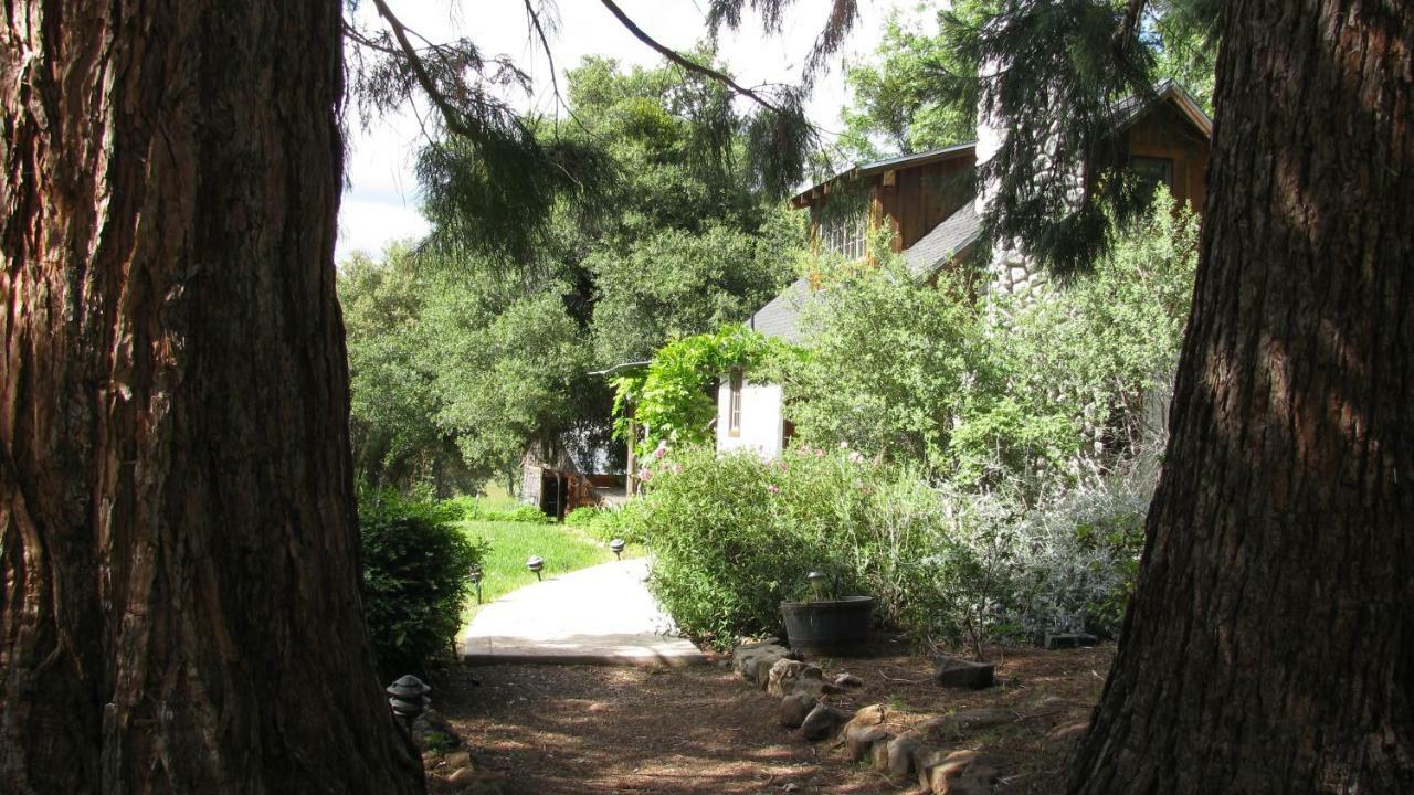 Yosemite Rose Bed And Breakfast Groveland Eksteriør billede